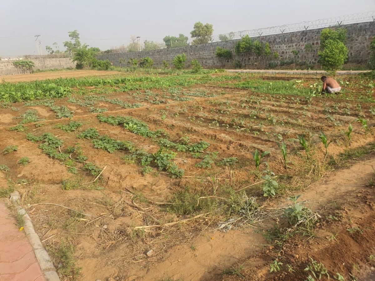 Sohna Ekant Farm House 빌라 외부 사진