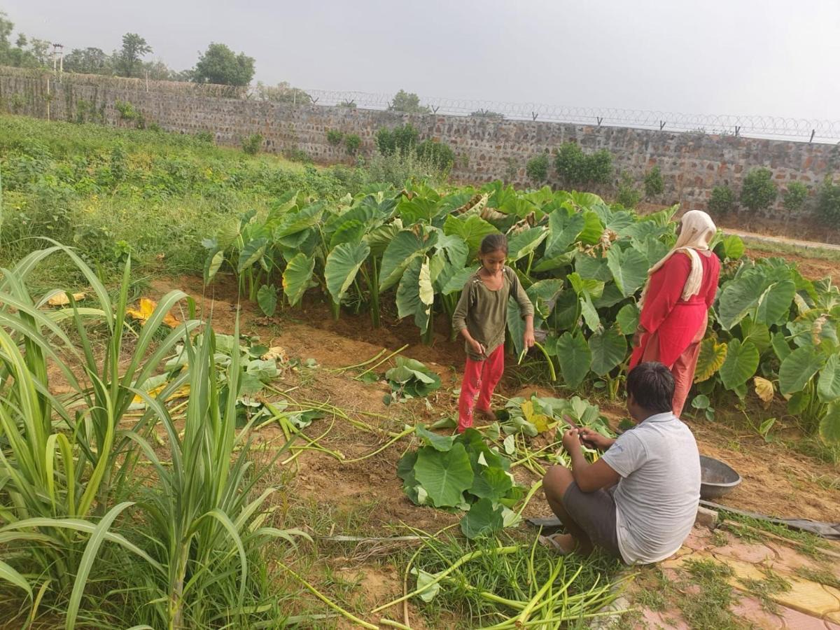 Sohna Ekant Farm House 빌라 외부 사진